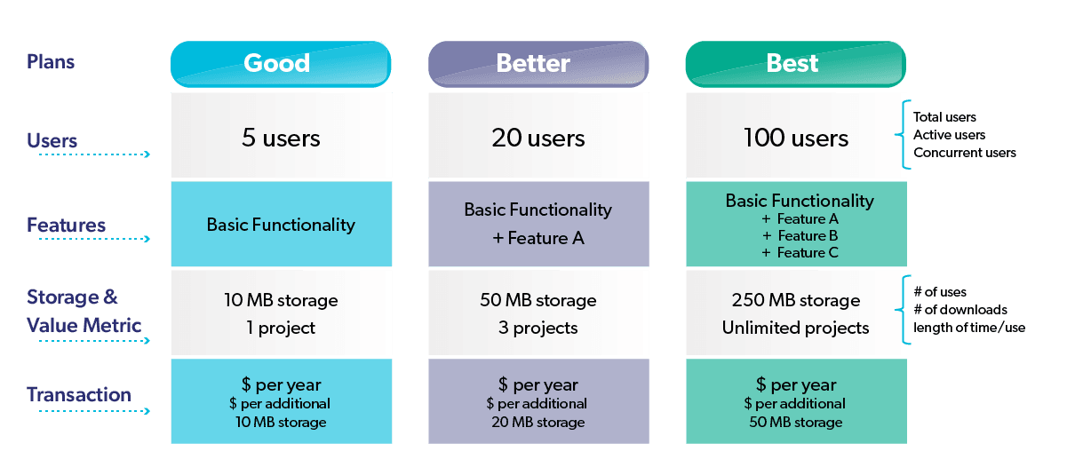 Enterprise software pricing model SaaS cost factors